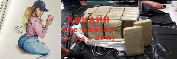 шишки Данков