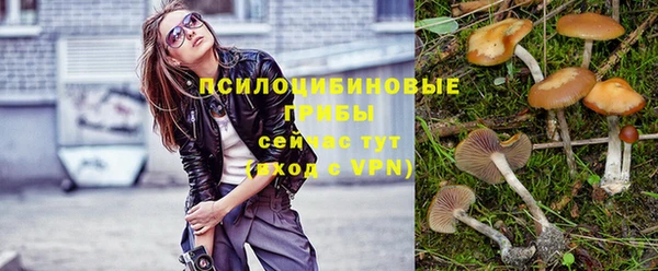 хмурый Куйбышев
