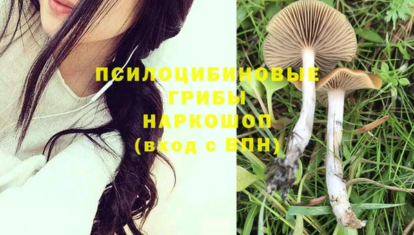 твердый Кукмор