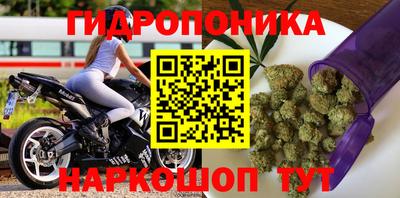 молекула духа Коммунар