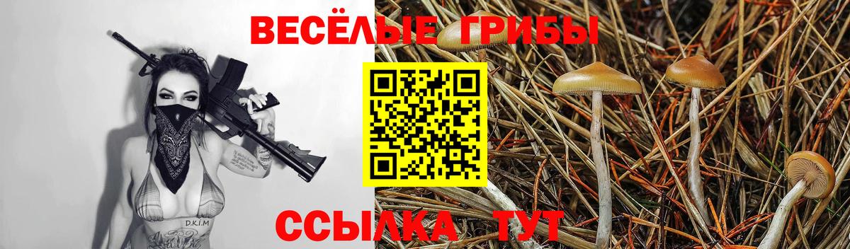Галлюциногенные грибы мицелий  наркота  Псилоцибиновые грибы мухоморы  Минеральные Воды  Вход с VPN 
